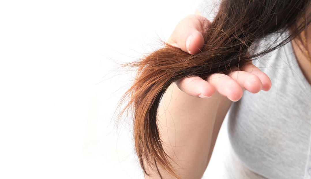 4 dicas para combater as indesejadas pontas duplas