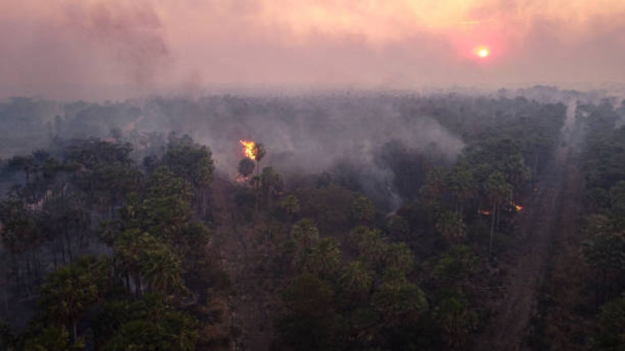 Pantanal volta a ter incêndios de grandes proporções
