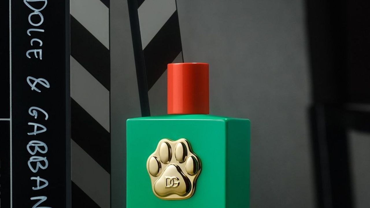 Dolce & Gabbana lança fragrância de luxo para Pets