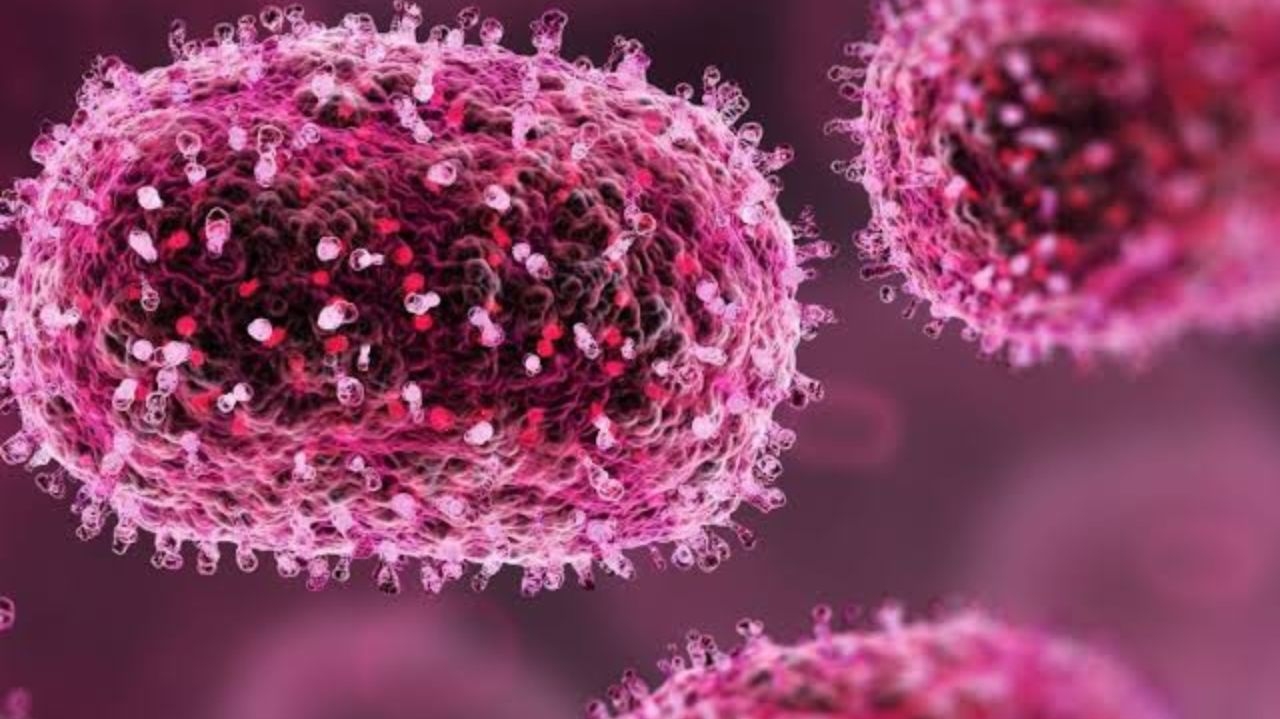 Saúde pública do Rio de Janeiro em alerta: casos da Mpox aumentam