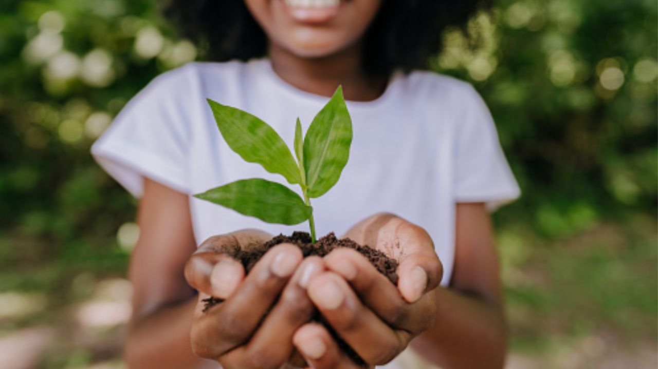 G20 aprova 10 princípios para desenvolver bioeconomia mundial