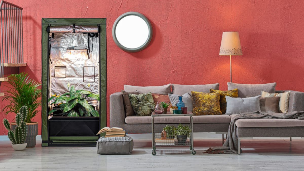 Estufa de cultivo: a solução ideal para cultivo em espaços pequenos