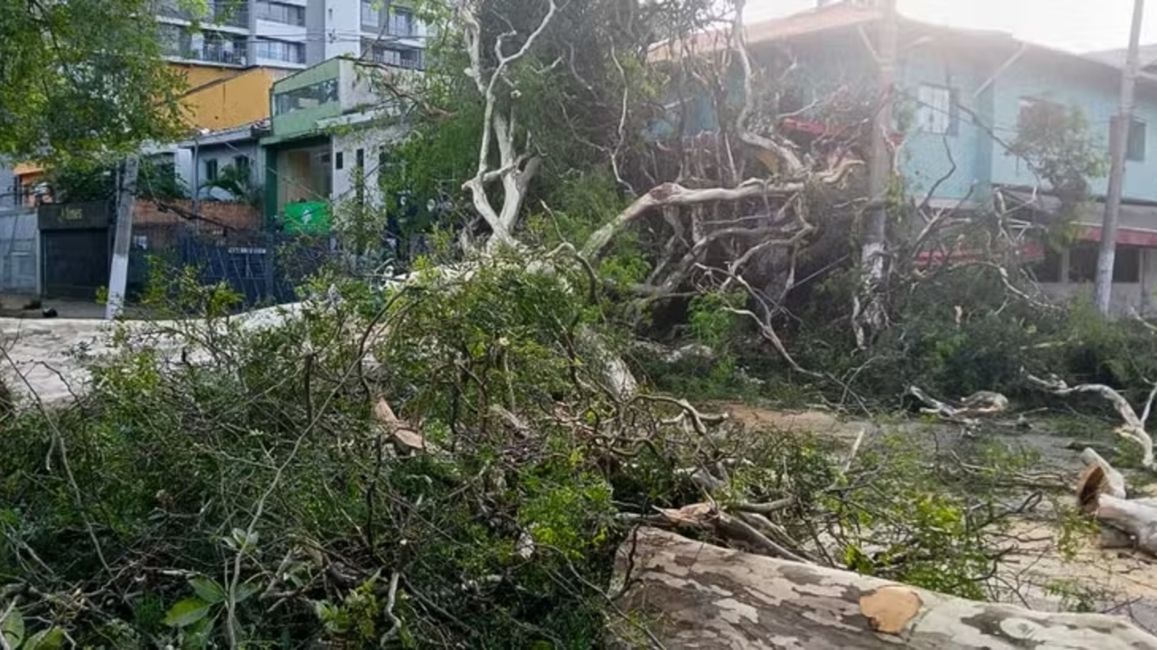 Mais de 100 horas sem energia elétrica: 90,8 mil imóveis na Grande São Paulo continuam no escuro