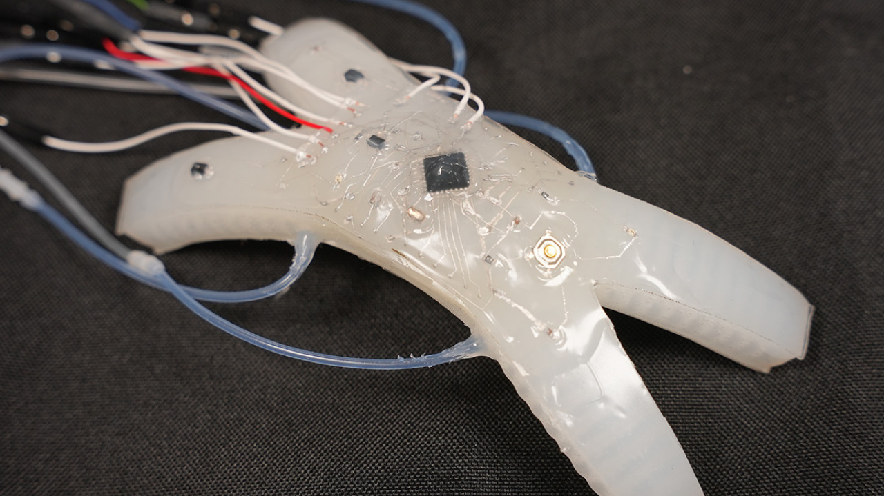 Pesquisadores criam primeiro robô flexível capaz de amputar seus próprios membros