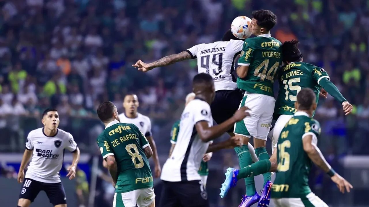 Palmeiras e Botafogo tem objetivos diferentes em jogo decisivo pelo Brasileirão