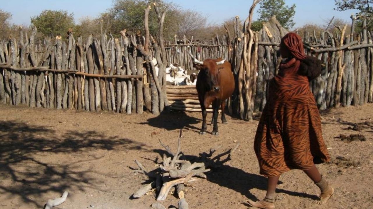 Relatório da ONU projeta mudanças em região árida vivida por 5 milhões de pessoas
