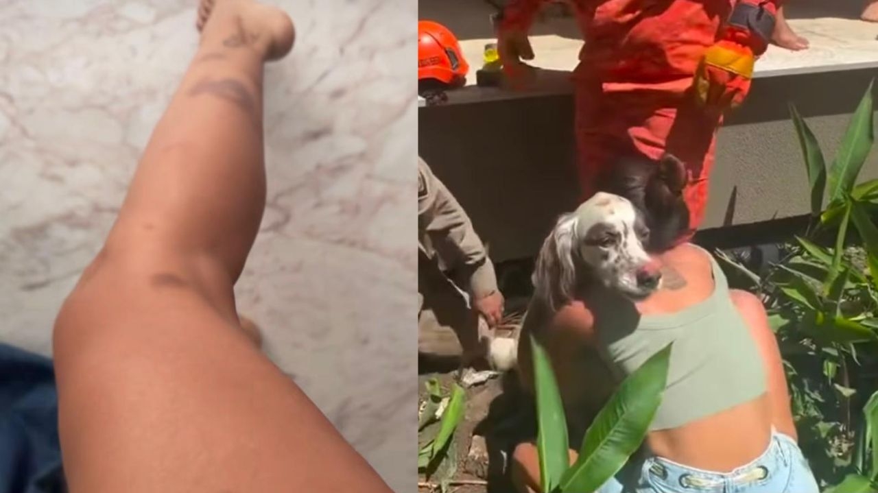 Anitta revela momento de aflição após o desaparecimento de seu cachorro