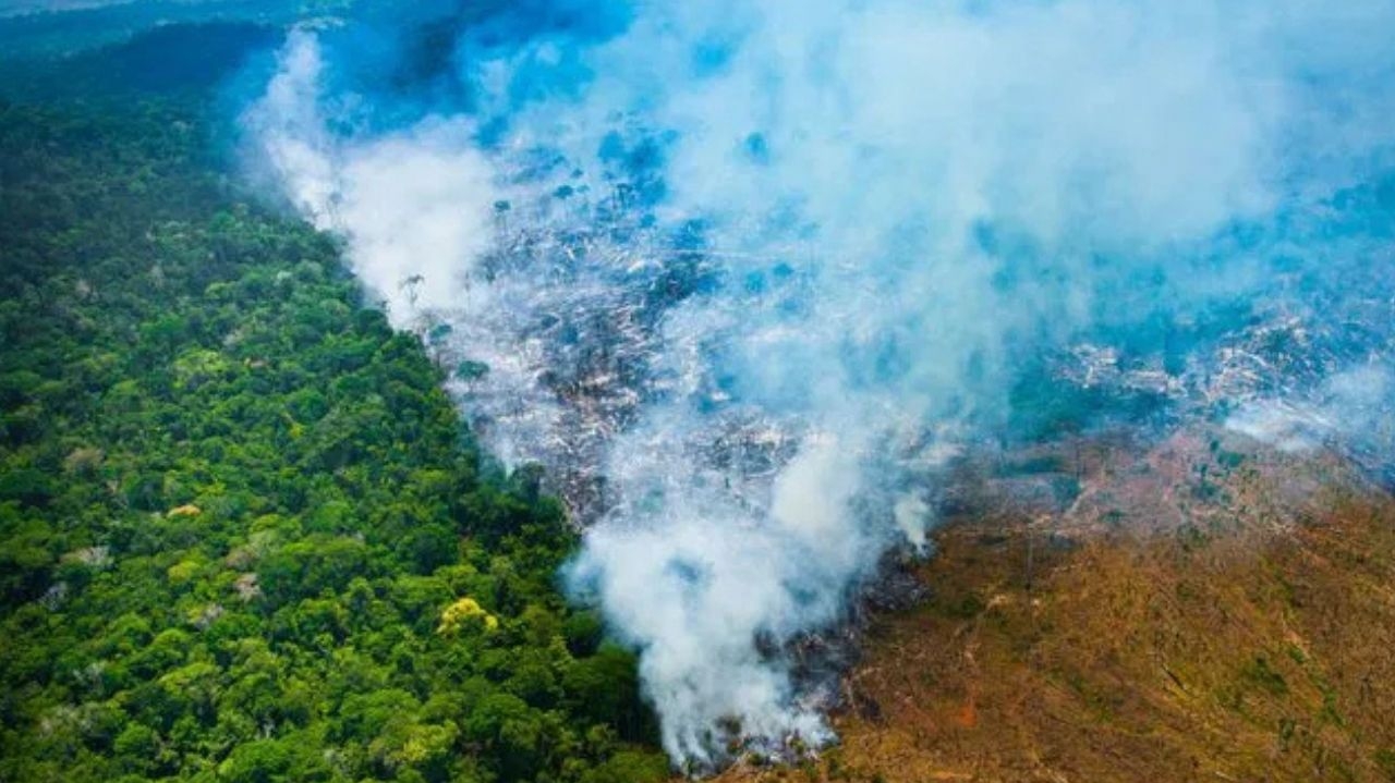 Desmatamento em queda, mas incêndios na Amazônia alcançam recorde histórico