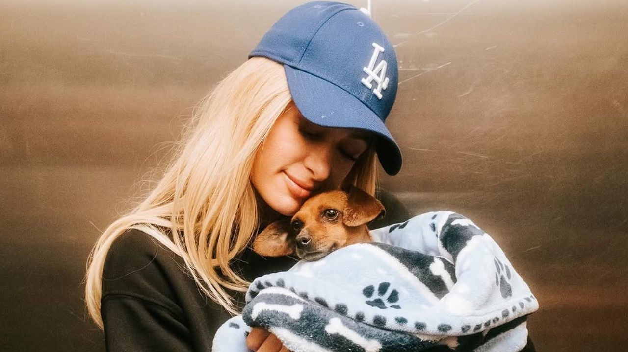 Paris Hilton adota Zuzu, cachorra desabrigada após incêndios que atingem Los Angeles