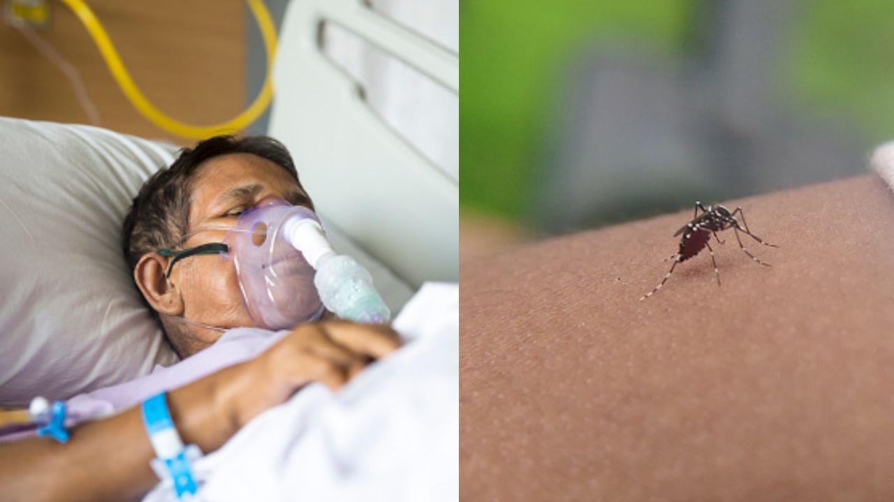 Dengue causa mortes em Minas Gerais: primeiros casos de 2025