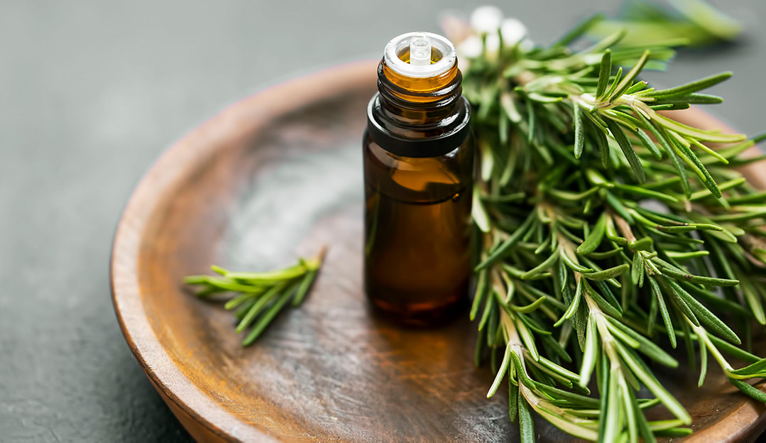 Conheça 3 receitas com alecrim para o seu cabelo