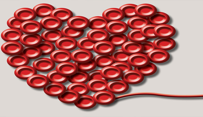 Doação de medula óssea: todo cidadão pode salvar uma vida