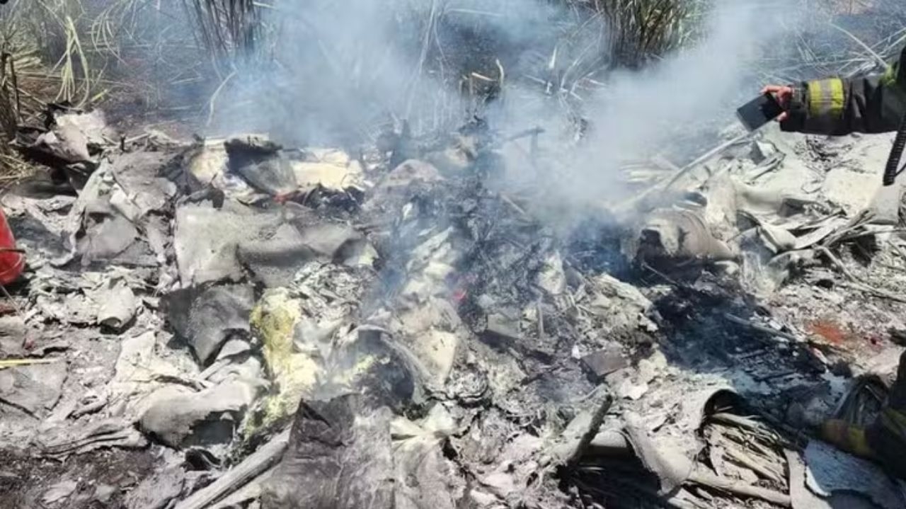 Avião pequeno porte cai e mata duas pessoas em canavial no interior de SP