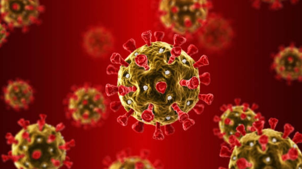 Novo coronavírus: saiba mais sobre nova cepa encontrada na China