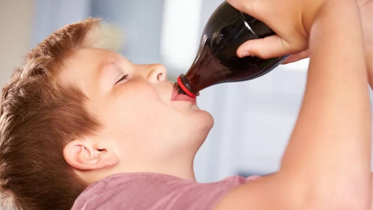 Frutose artificial em excesso causa diabetes tipo 2 e doenças no fígado