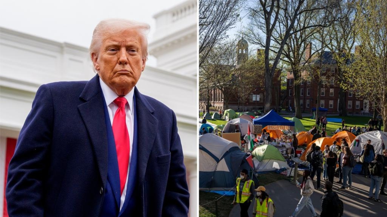 Professores de Harvard processam governo contra regras sobre políticas de diversidade