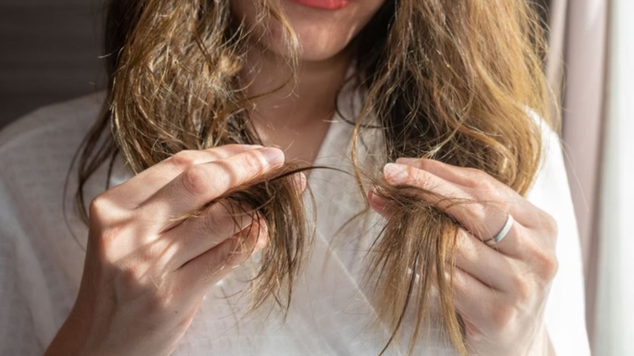 Diga adeus ao frizz: descubra o que causa os fios arrepiados e como cuidar do cabelo