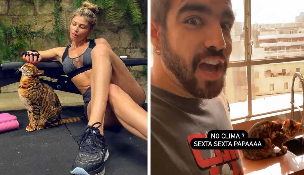 Caio Castro e Grazi Massafera posaram ao lado de um gato parecido e deixaram os fãs felizes