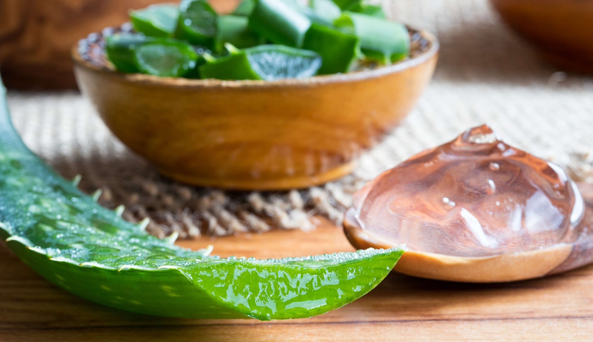 Aloe vera, a planta queridinha nos cuidados da pele