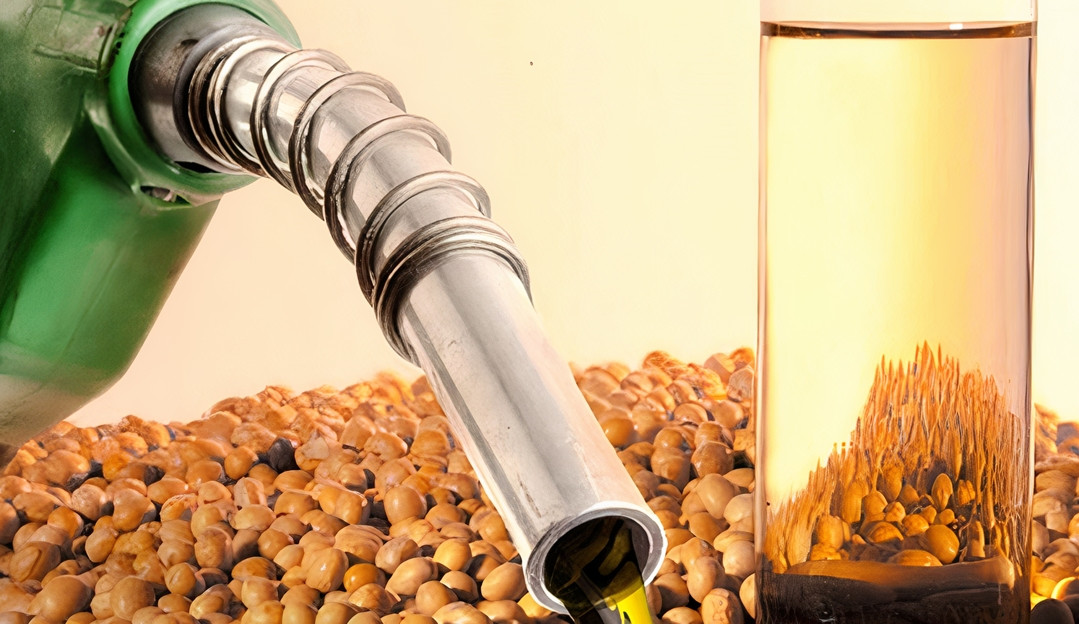 Agência Nacional do Petróleo abre consulta sobre qualidade do biodiesel