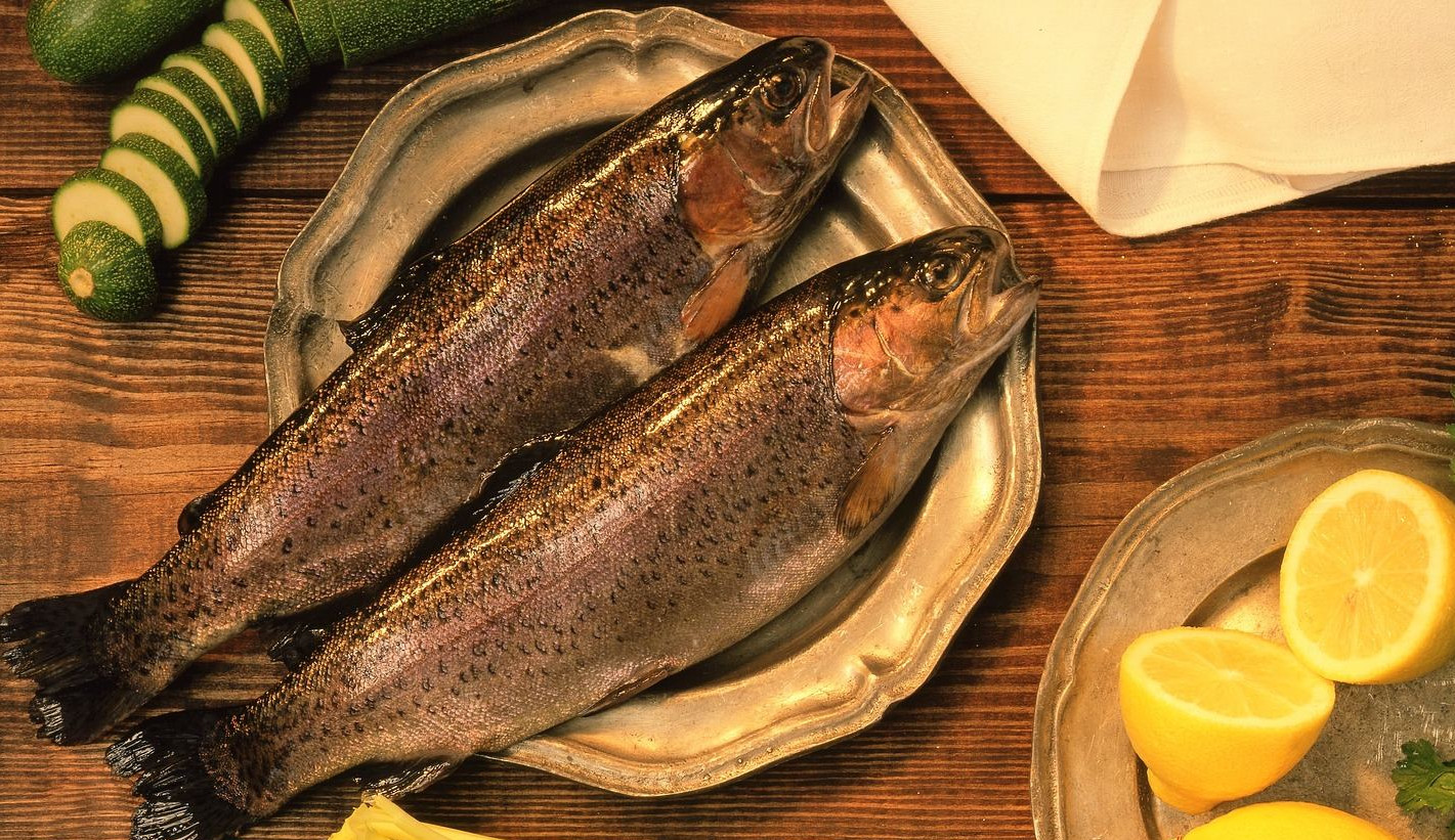 Cientistas identificam ligação entre consumo de peixe e diminuição no risco de doenças cerebrovasculares