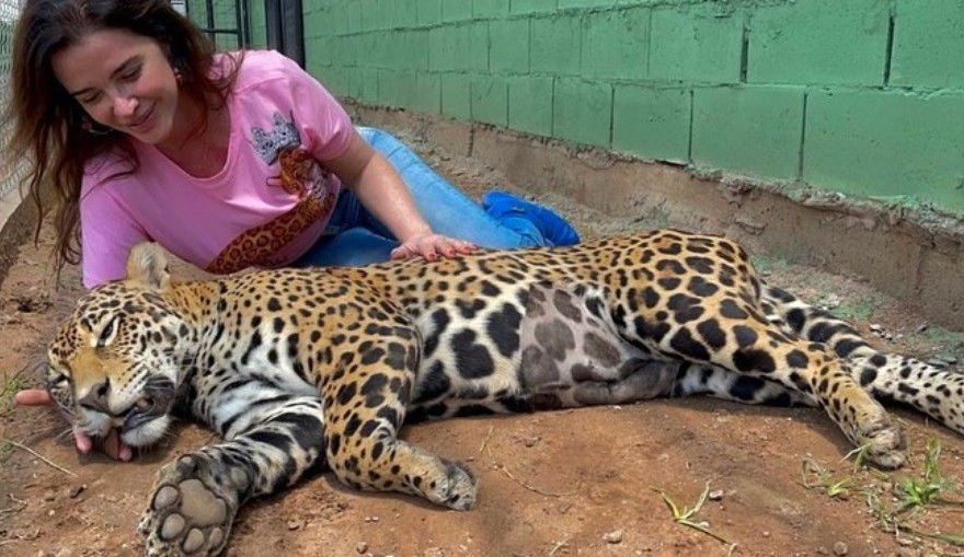 Luma de Oliveira adota onça em Goiás: “/A história de Coragem me comoveu”/