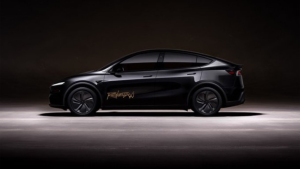 Tesla inicia testes com robotáxis nos Estados Unidos e encara desafios para expansão