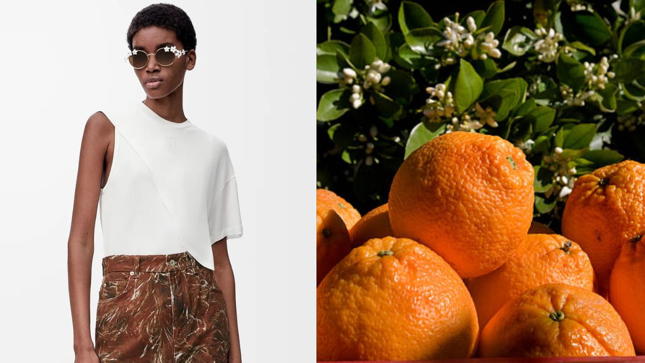 Camiseta Loewe feita de fibra de casca de laranjas/Laranjas recém-colhidas | Reprodução/Instagram/@pyratex_/Tom Stoddart/Getty Images Embed