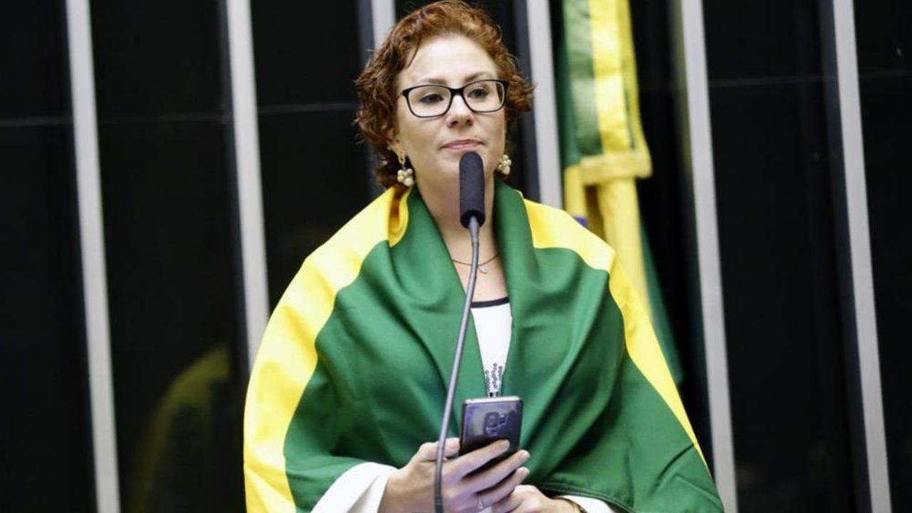 Carla Zambelli envolta na bandeira do Brasil | Reprodução/X/@sensacionalista