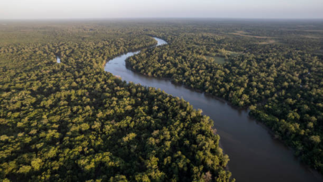 Dia da Sobrecarga: Terra entra em déficit ecológico e esgota cota anual de recursos naturais