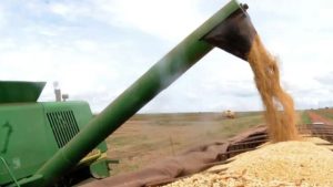 Indústria e agronegócio são afetados com taxação ao Brasil