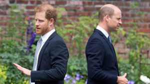Príncipe William e Harry coordenam distanciamento em celebração do primo