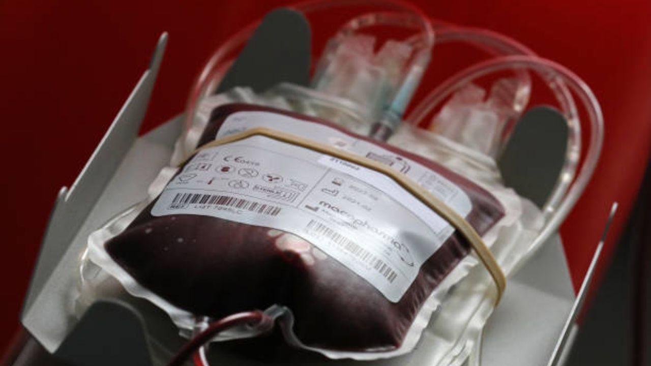 Bolsa de sangue | Reprodução/ Picture Alliance/ Getty Images Embed