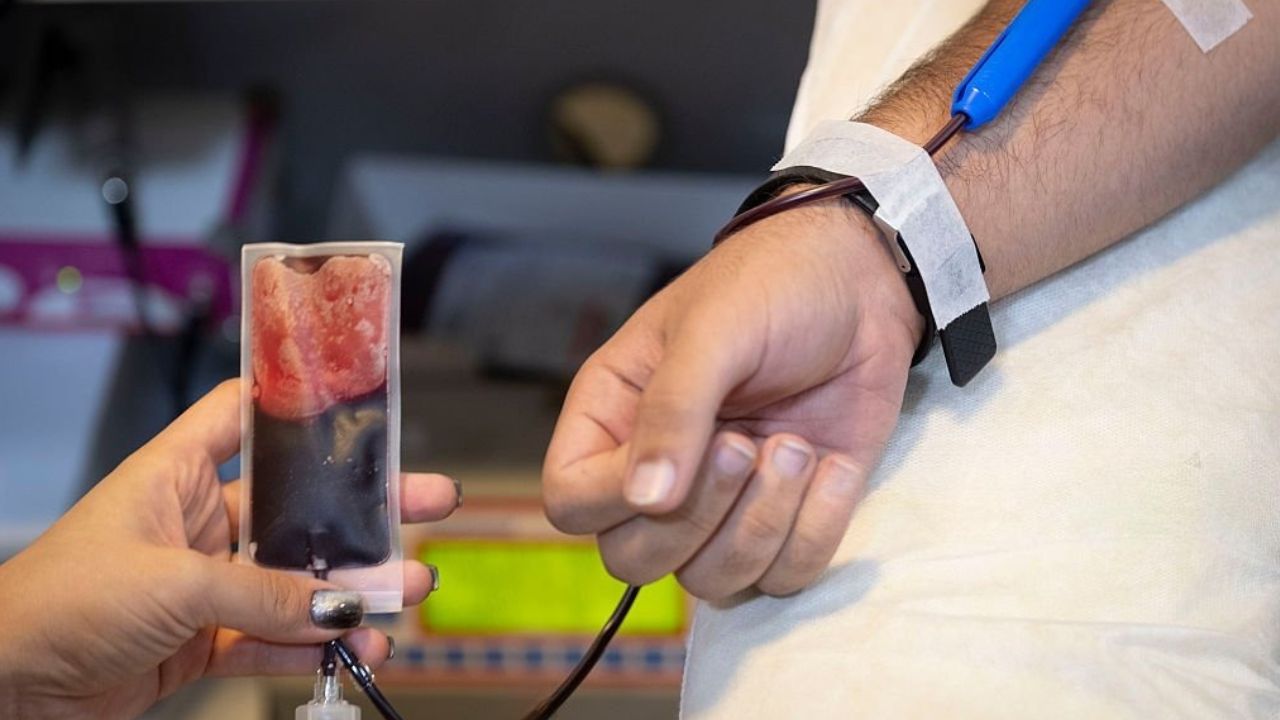 Transfusão de sangue | Reprodução/NurPhoto/Getty Images Embed