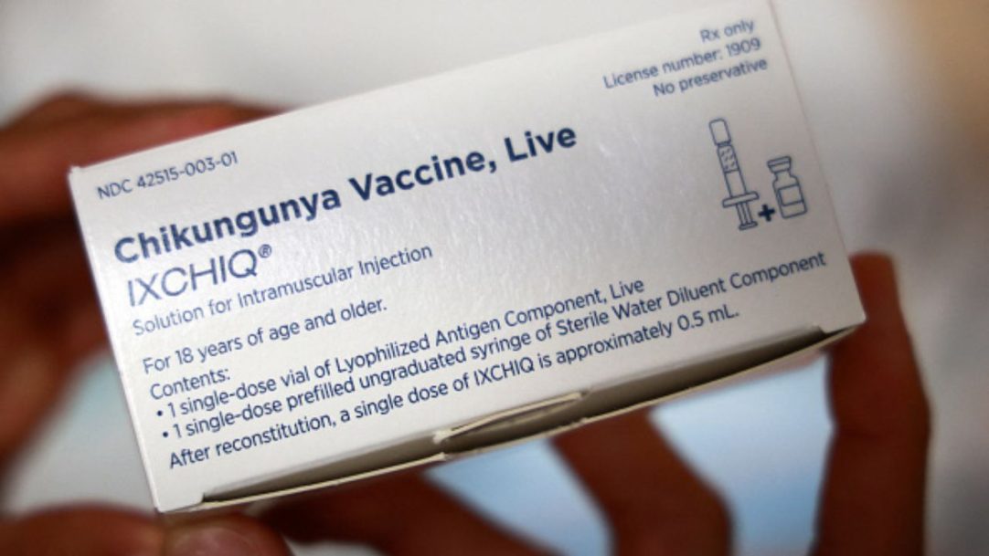 Imunizante contra chikungunya é suspenso nos Estados Unidos