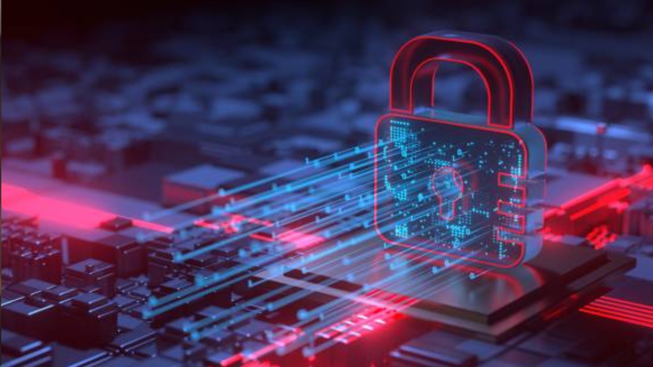 Startup de cibersegurança se prepara para focar no mercado brasileiro | Reprodução/ Just_Super/ Getty Images Embed