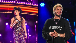 Fãs sugerem romance entre Ana Castela e Zé Felipe após curtida em foto dela