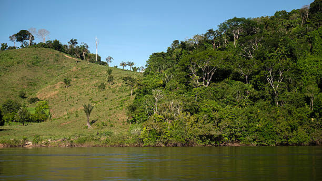 Rio na Amazônia | Reprodução/ CARLOS FABAL/ Getty Images 