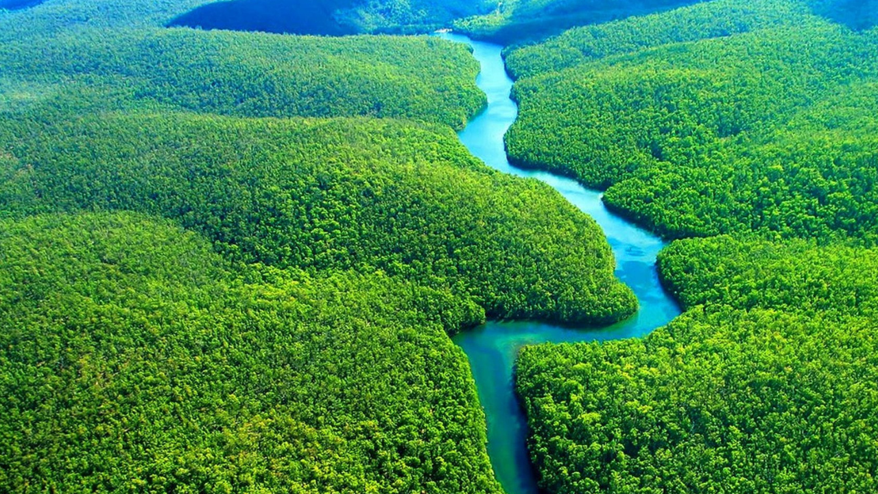 Floresta Amazônica Reprodução I Imazon/Adriano Gambarini