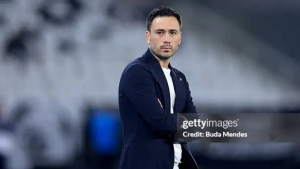 Botafogo mostra fraquezas evidentes após derrota para o Internacional