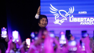 Liberdade Avança, partido de Milei, sai vitorioso em eleições legislativas