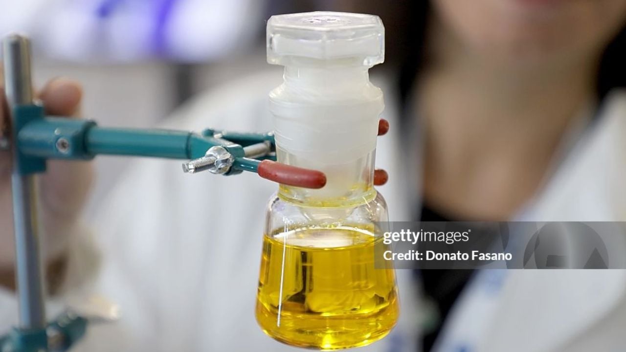 Azeite | Reprodução/Donato Fasano/Getty Images Embed
