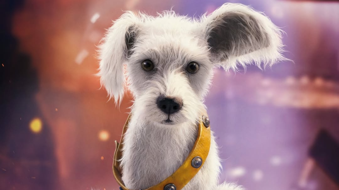Supergirl: Krypto aparece como filhote em pôster solo