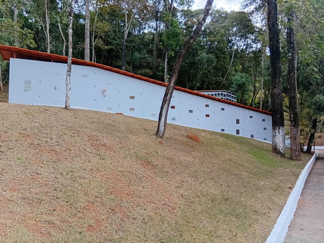 Setor funerário se adapta à despedida humanizada de pets