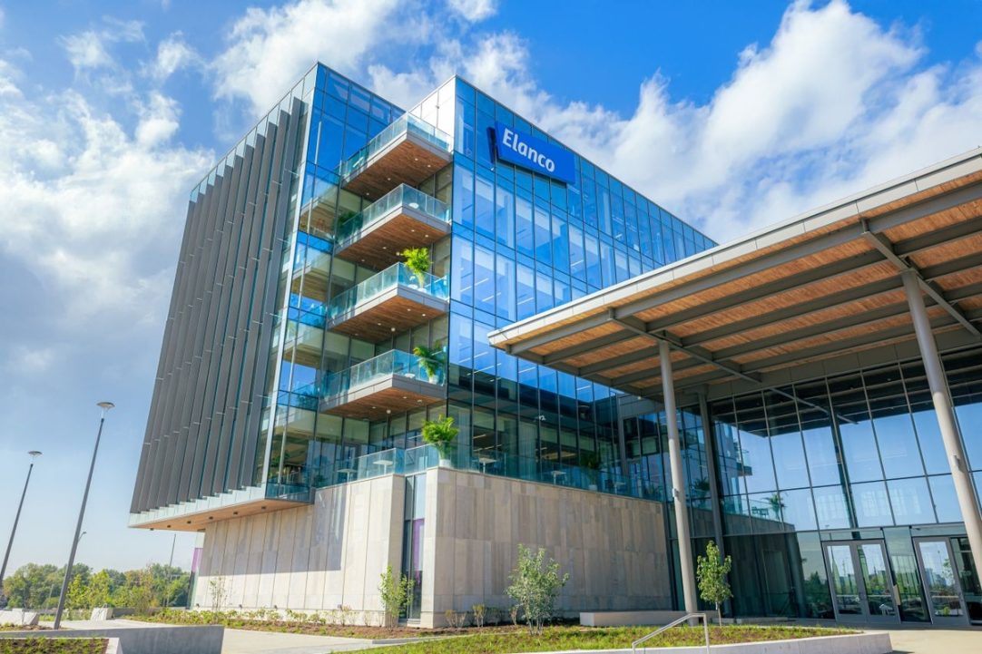 Elanco cresce 15% no 1º trimestre de 2026 e eleva projeções