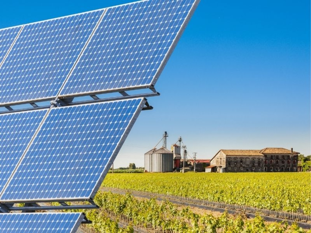 Baterias Moura: gestão energética impulsiona o agro