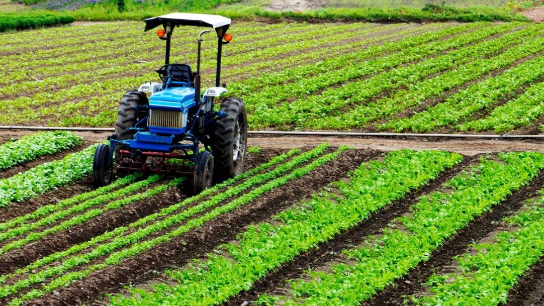 Crédito estruturado apoia mecanização da cafeicultura