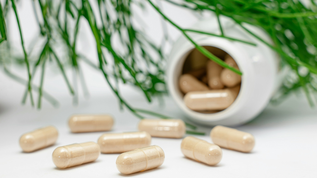 Anvisa proíbe suplementos das marcas Newfit e SharkPro