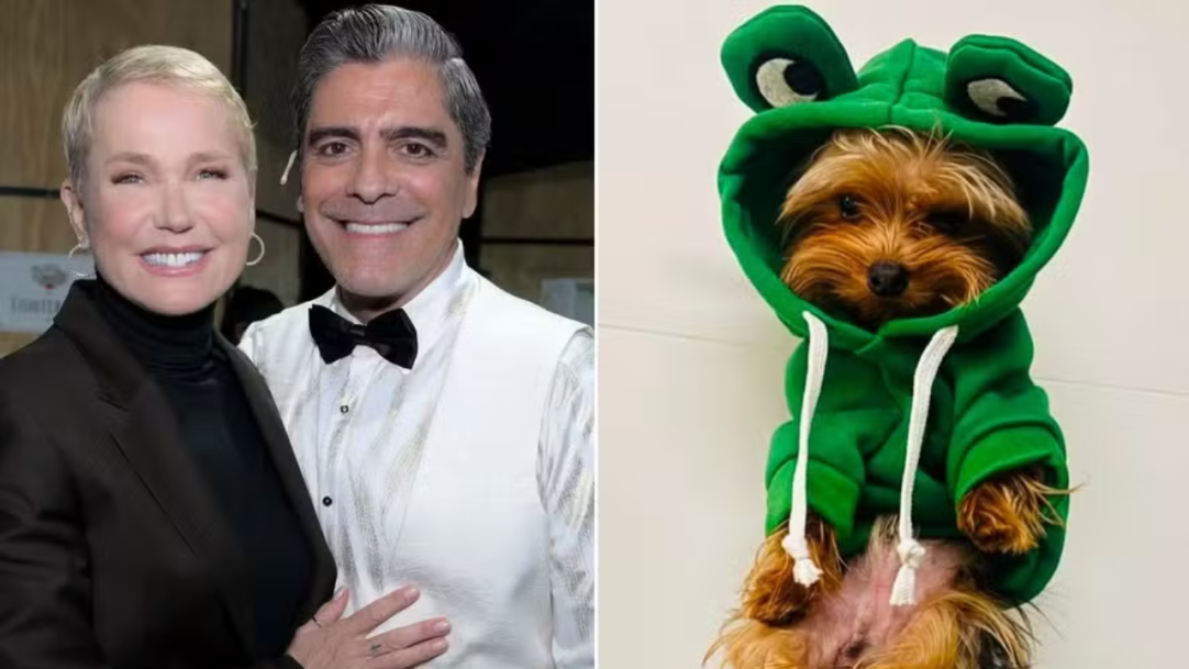 Junno Andrade emociona ao se despedir do cachorro de estimação: ‘Encheu nossa vida de amor’