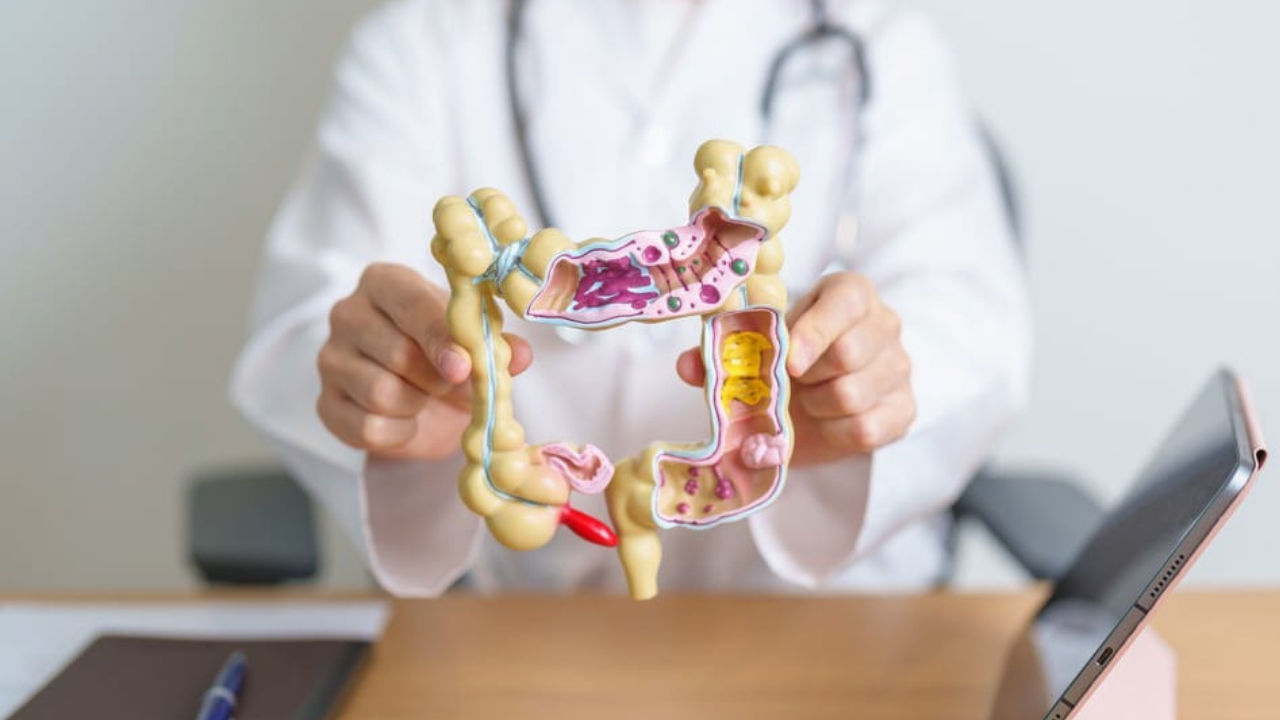 Brasil cresce em doenças inflamatórias intestinais nos últimos anos